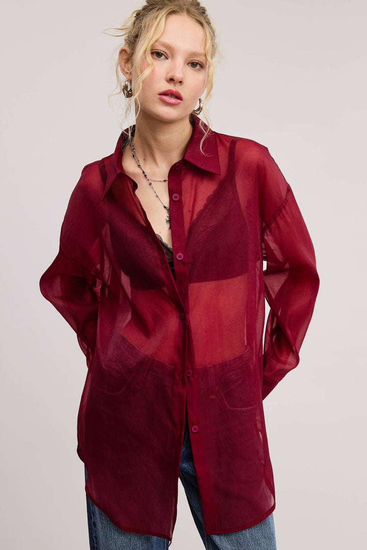 Selene Sheer Organza Collared Blouse - shirts
