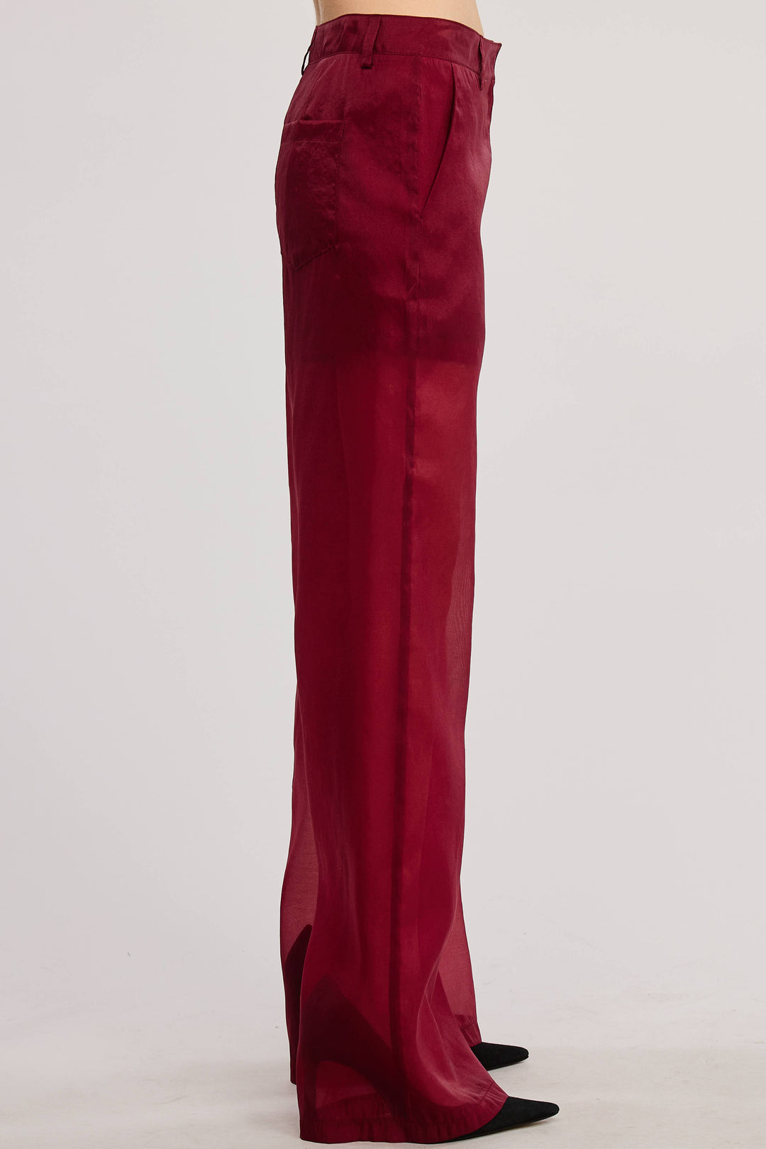 Selene Straight Leg Sheer Organza Pants with Lined Shorts