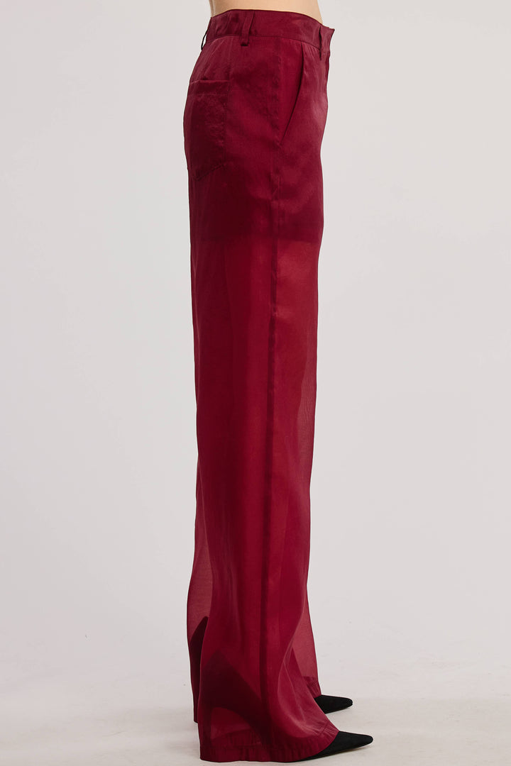 Selene Straight Leg Sheer Organza Pants with Lined Shorts