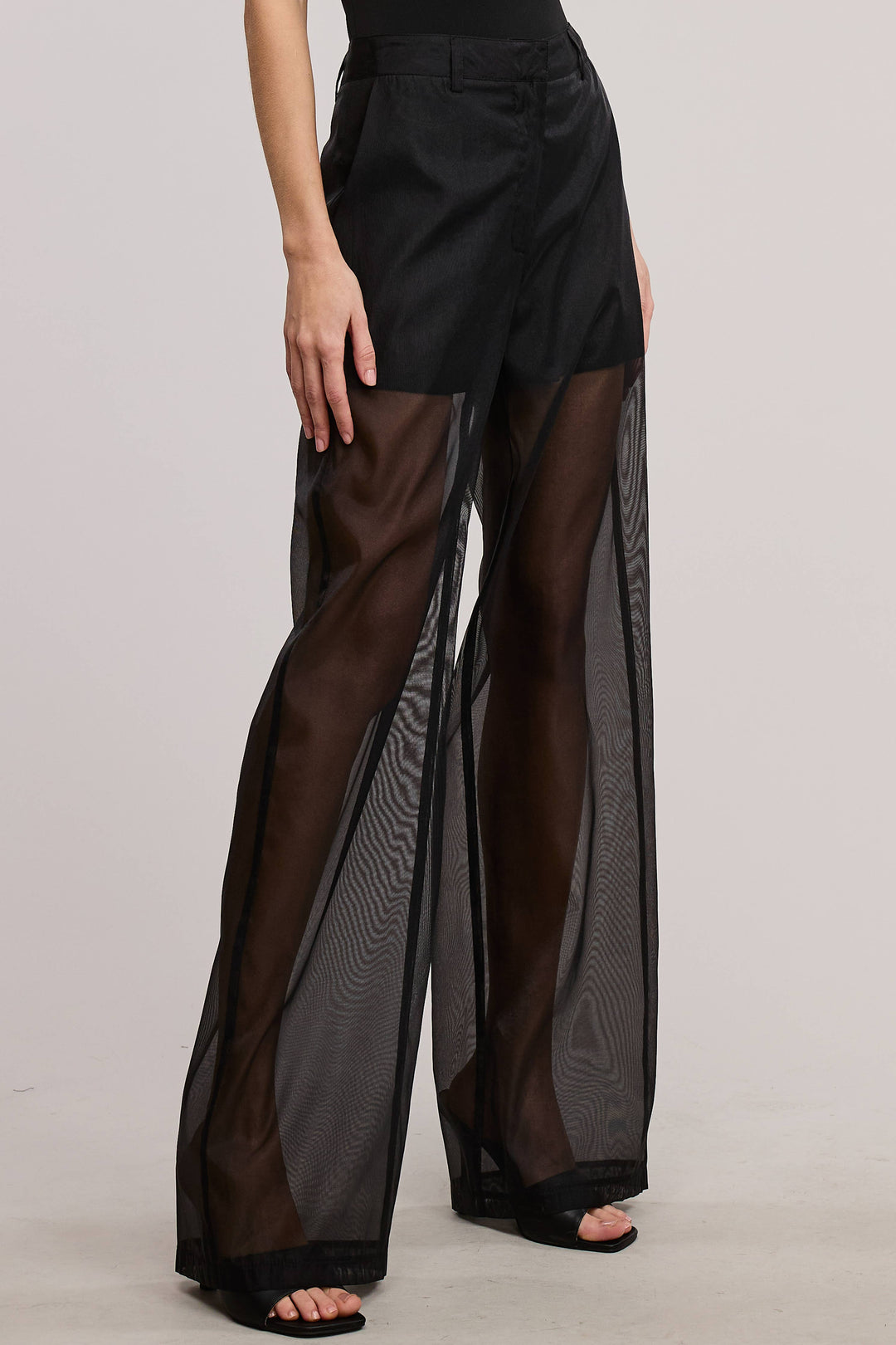 Selene Straight Leg Sheer Organza Pants with Lined Shorts