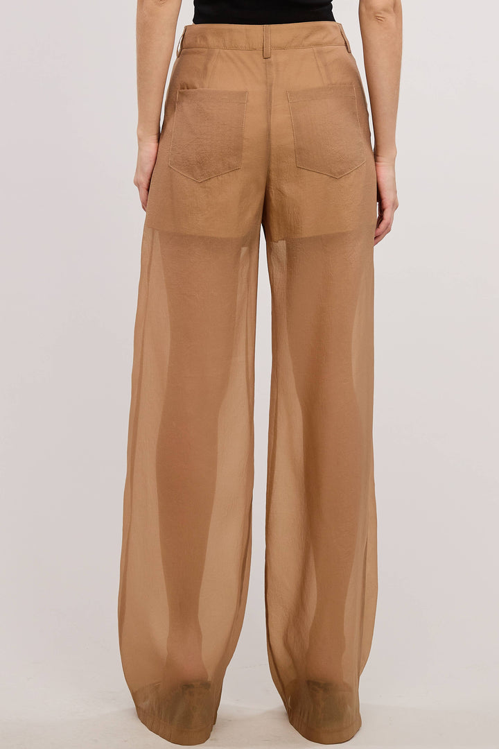 Selene Straight Leg Sheer Organza Pants with Lined Shorts