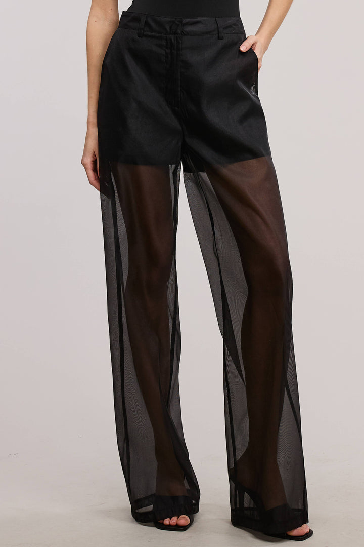Selene Straight Leg Sheer Organza Pants with Lined Shorts