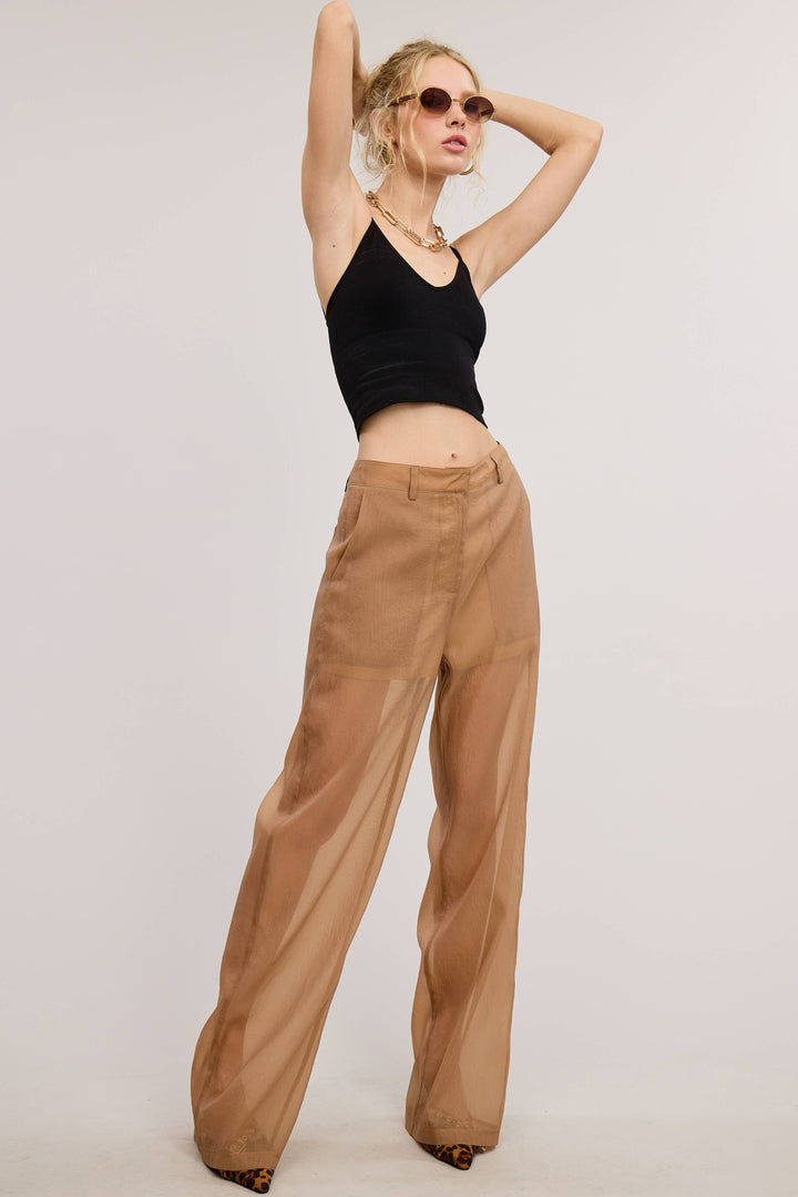 Selene Straight Leg Sheer Organza Pants with Lined Shorts